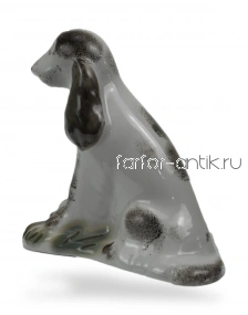 Дружок