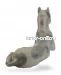 Дог