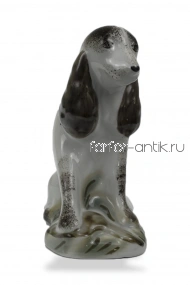 Дружок