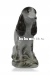 Дружок
